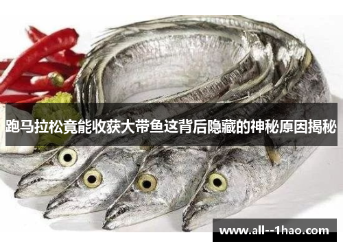 跑马拉松竟能收获大带鱼这背后隐藏的神秘原因揭秘 跑马拉松竟能收获大带鱼这背后隐藏的神秘原因揭秘