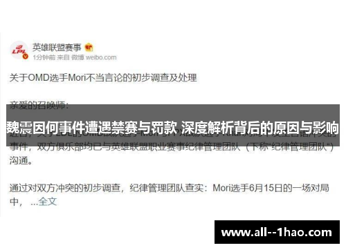魏震因何事件遭遇禁赛与罚款 深度解析背后的原因与影响