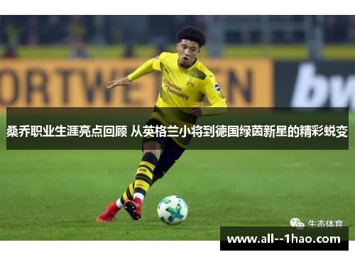 桑乔职业生涯亮点回顾 从英格兰小将到德国绿茵新星的精彩蜕变